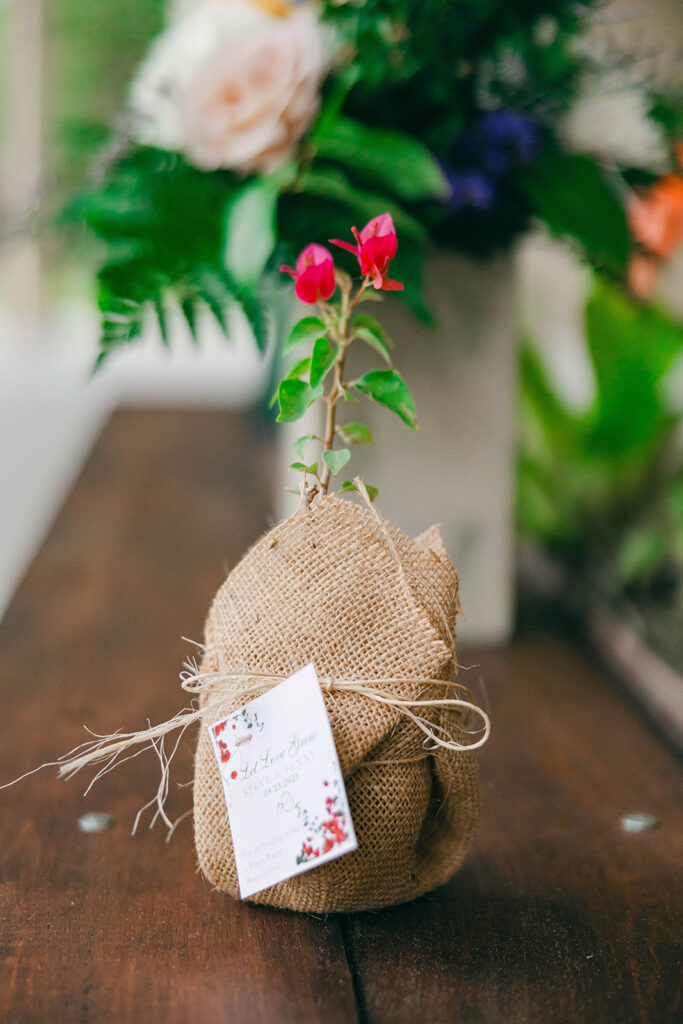 A baby tree party favor at Bonita Ranch, symbolizing love and growth as it reminds guests of the celebration.